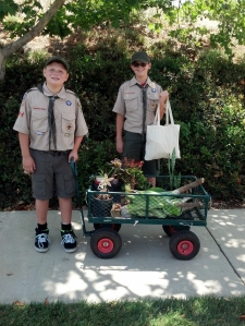 local scouts help haul plants to car!